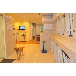 犬只類(lèi)寄養(yǎng)